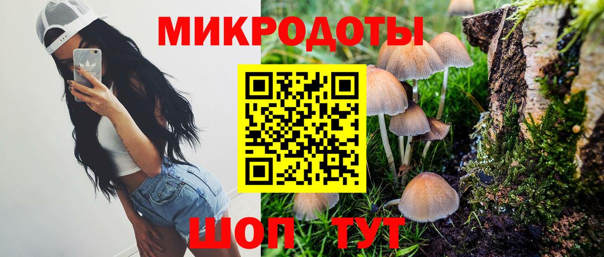 Галлюциногенные грибы прущие грибы Орехово-Зуево