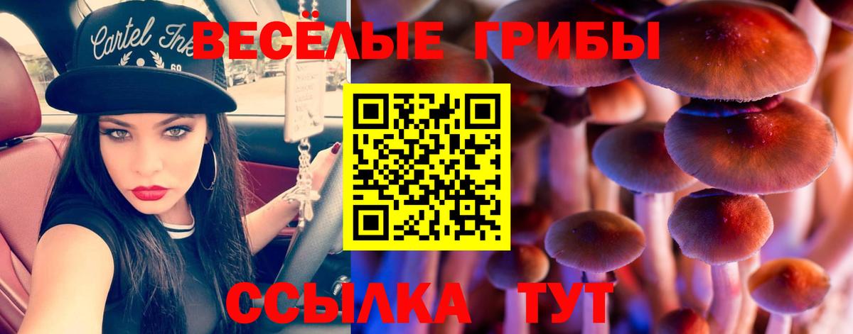 Галлюциногенные грибы Psilocybe  Вход с VPN  Орехово-Зуево 